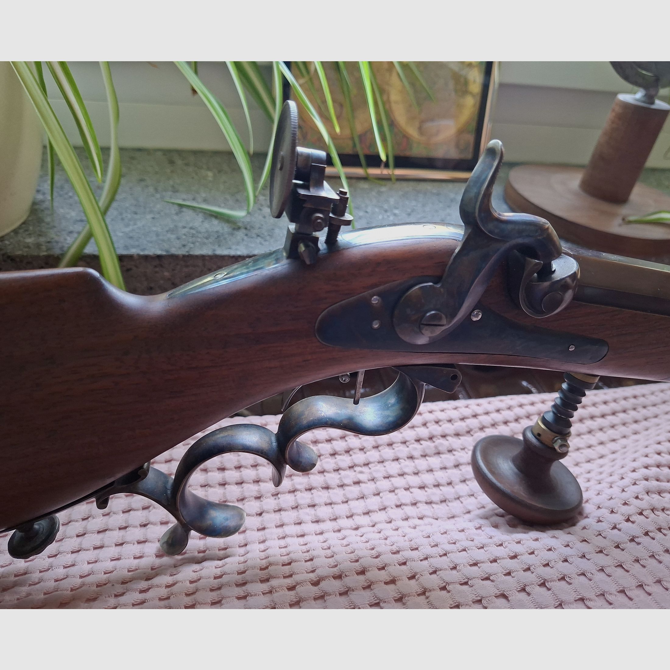 Vorderlader volgens het type van het Zwitserse schietgeweer