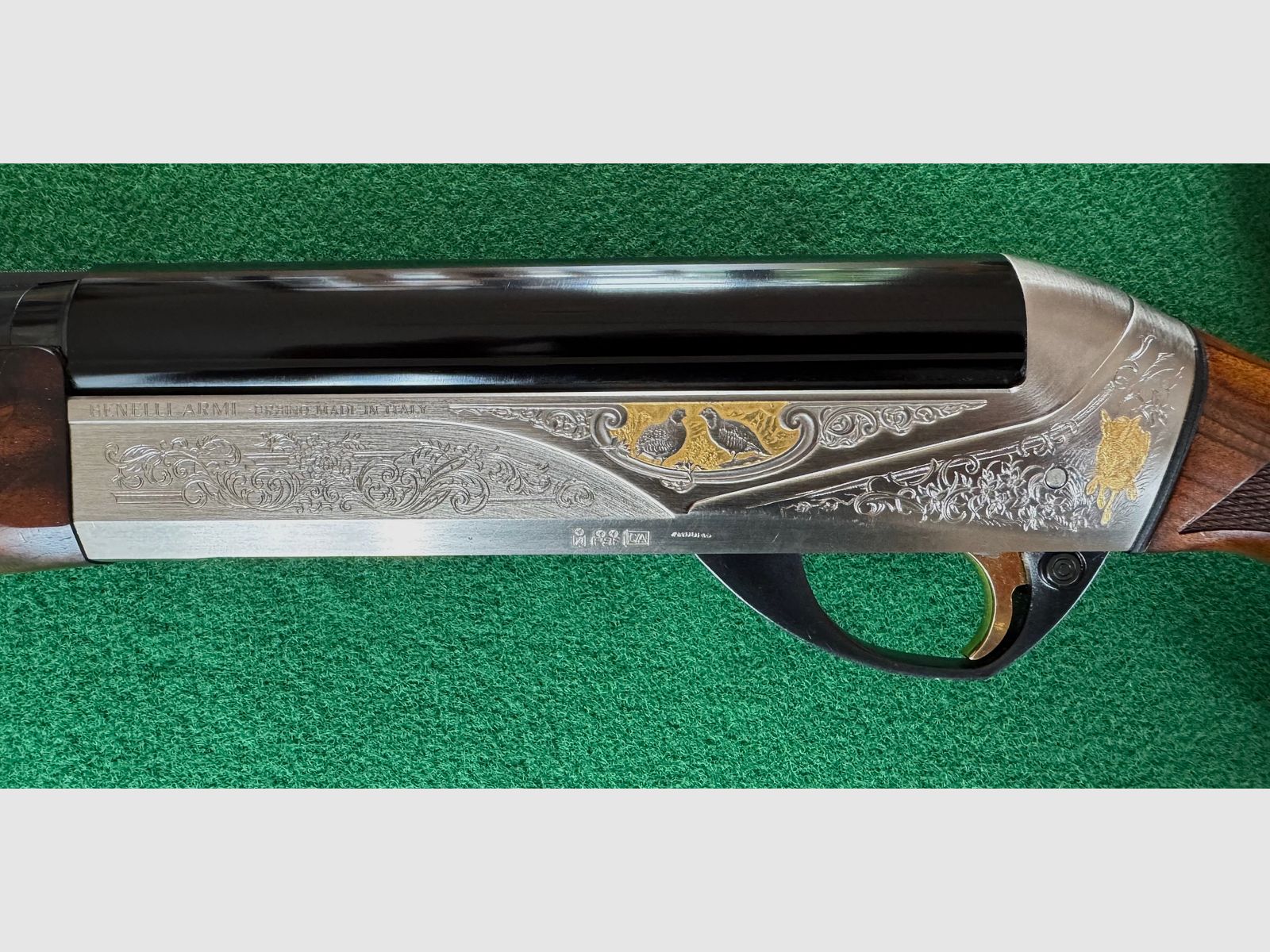 Benelli Raffaelo Limited Edition in 20/76