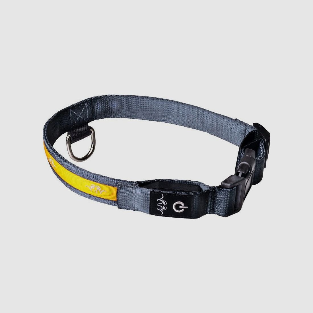 Blaser LED Hundehalsband