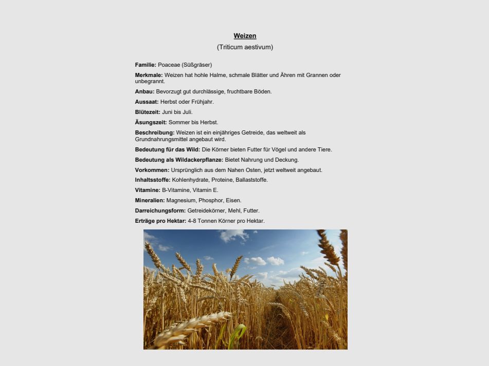 Saatgut Sammlung + Beschreibungsordner + Word-Datei + Eichen Regal  für Lehrzwecke