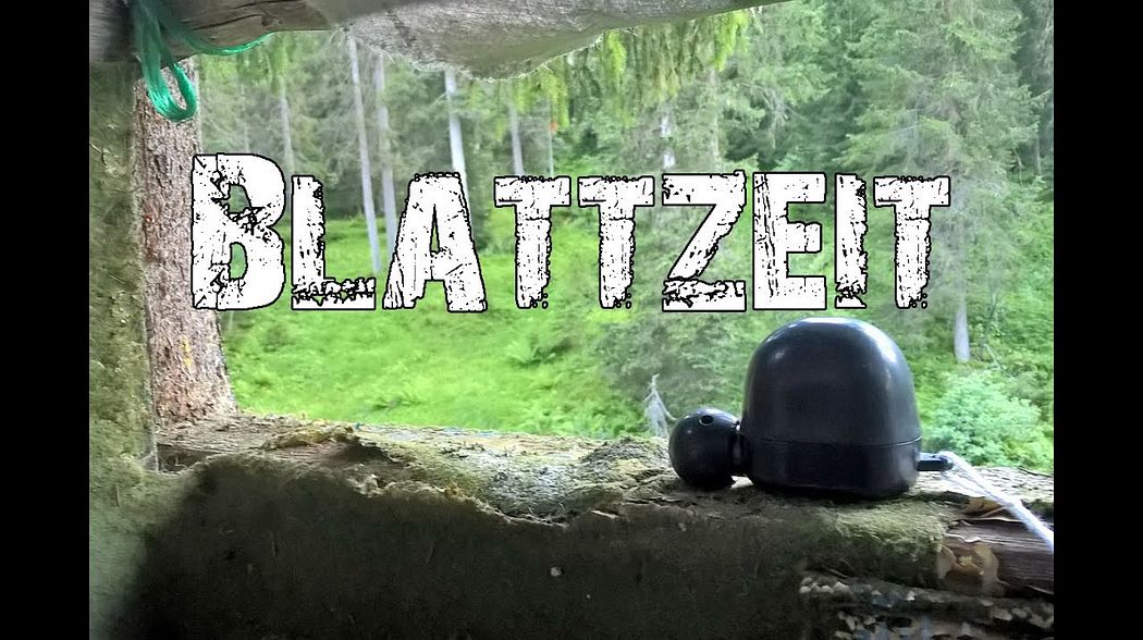 Rehbrunft - Blattzeit