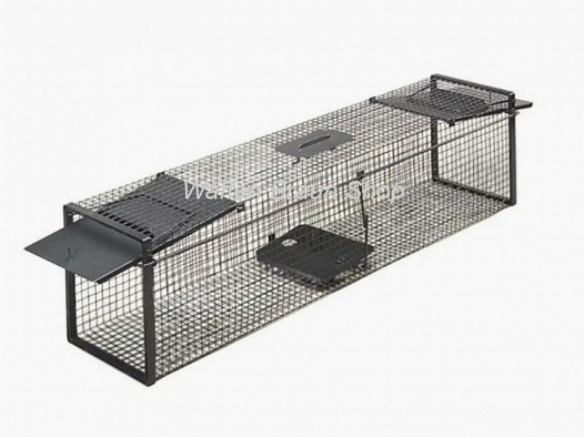 Live trap – two flap doors