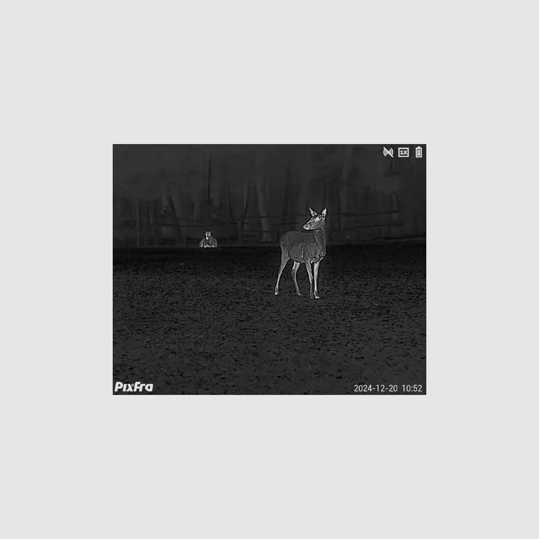 Pixfra Wärmebildmonokular Sirius S650D