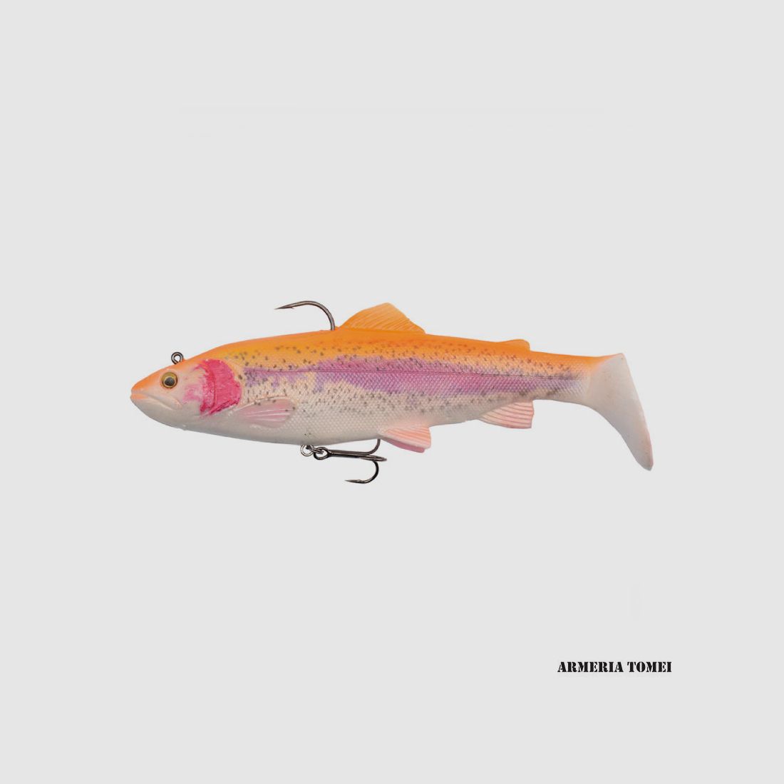 SAVAGE GEAR – 4D FORELLE RATTLE SHAD 20,5 cm – 8″ 120 g – 4 1/4 oz MODERATE SINK MS 02 Gold-Albino
