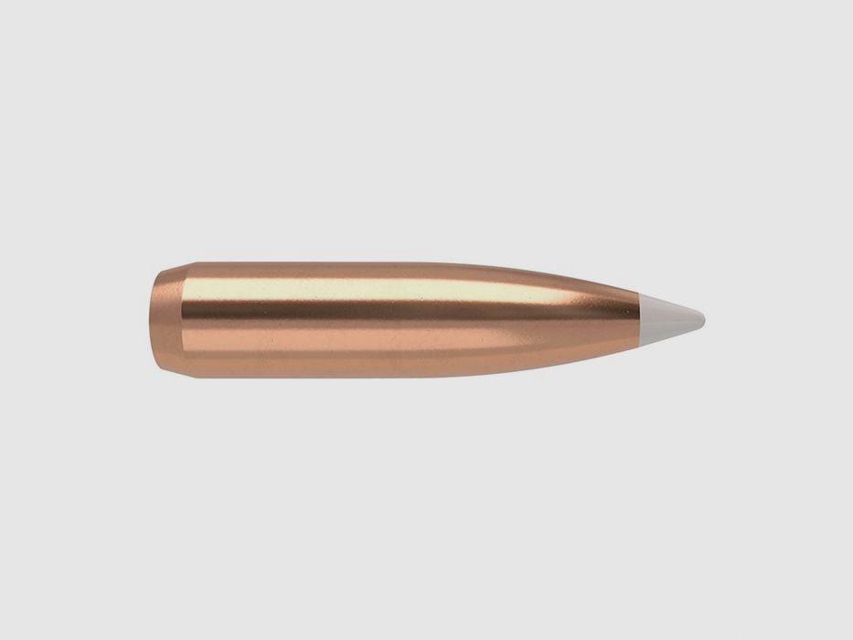 NOSLER 25 CALIBRO (0,257″) 110GR SPITZER BOAT TAIL 50/BOX, immagine 1 di 3