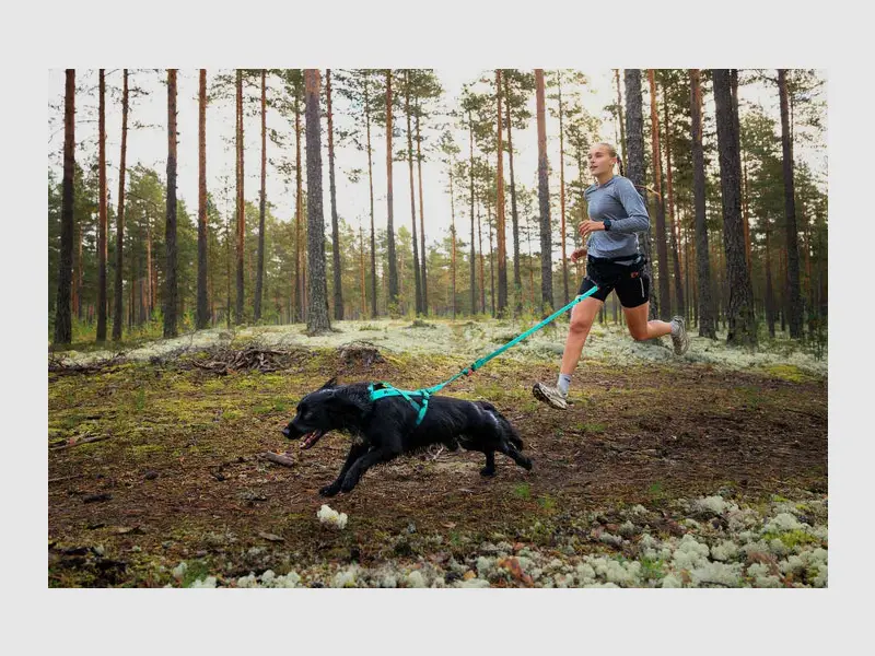 Bungee leash Aqua 2.0m/23mm, billede 2 af 3