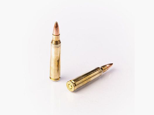 Fiocchi – .223 FMJ – 55 grs