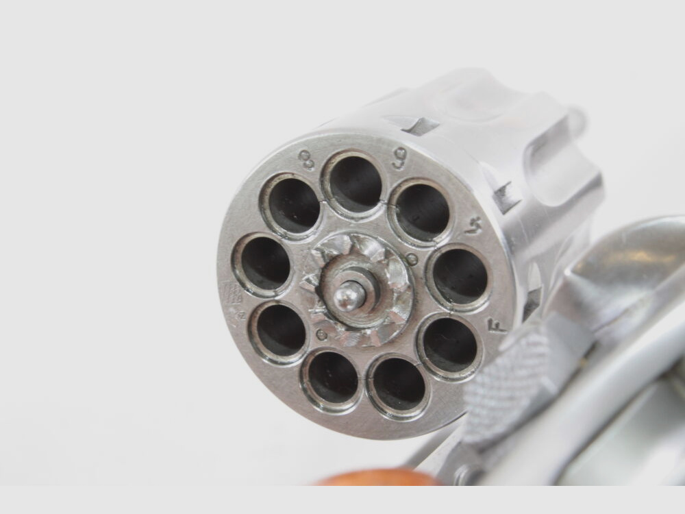 Taurus Model 94 Revolver - .22lr