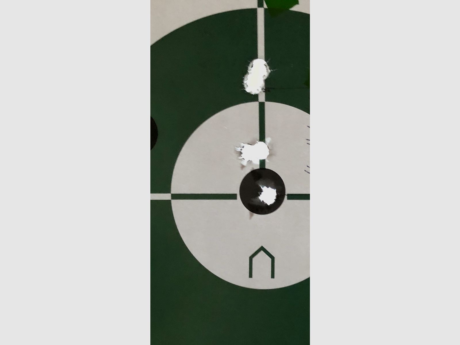 Sauer 101 Select 308 with Steiner Ranger 6