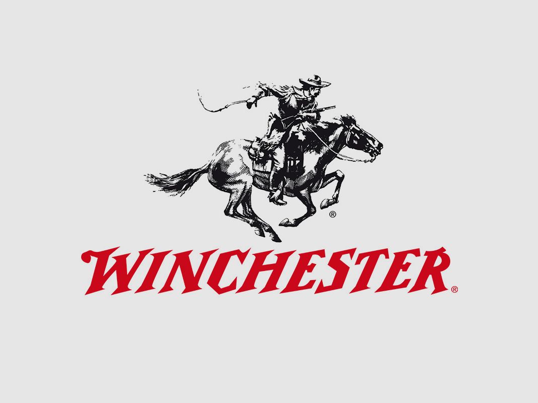 Winchester USA .45 ACP 230GR FMJ 100 cartuchos