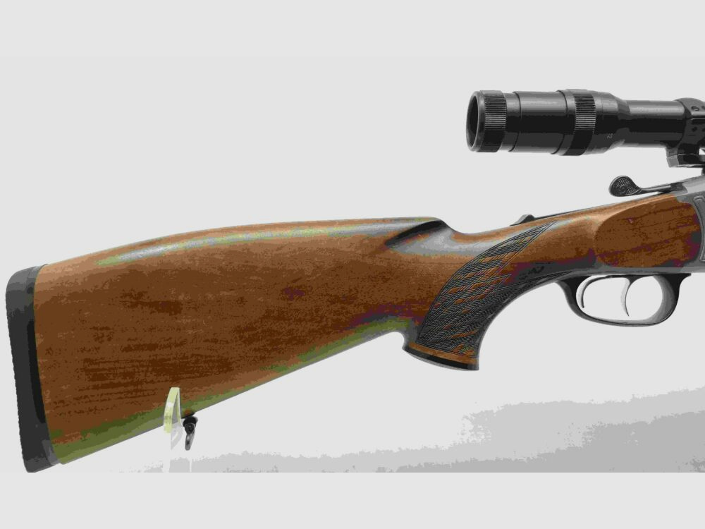 Blaser B95 (BBF 95)