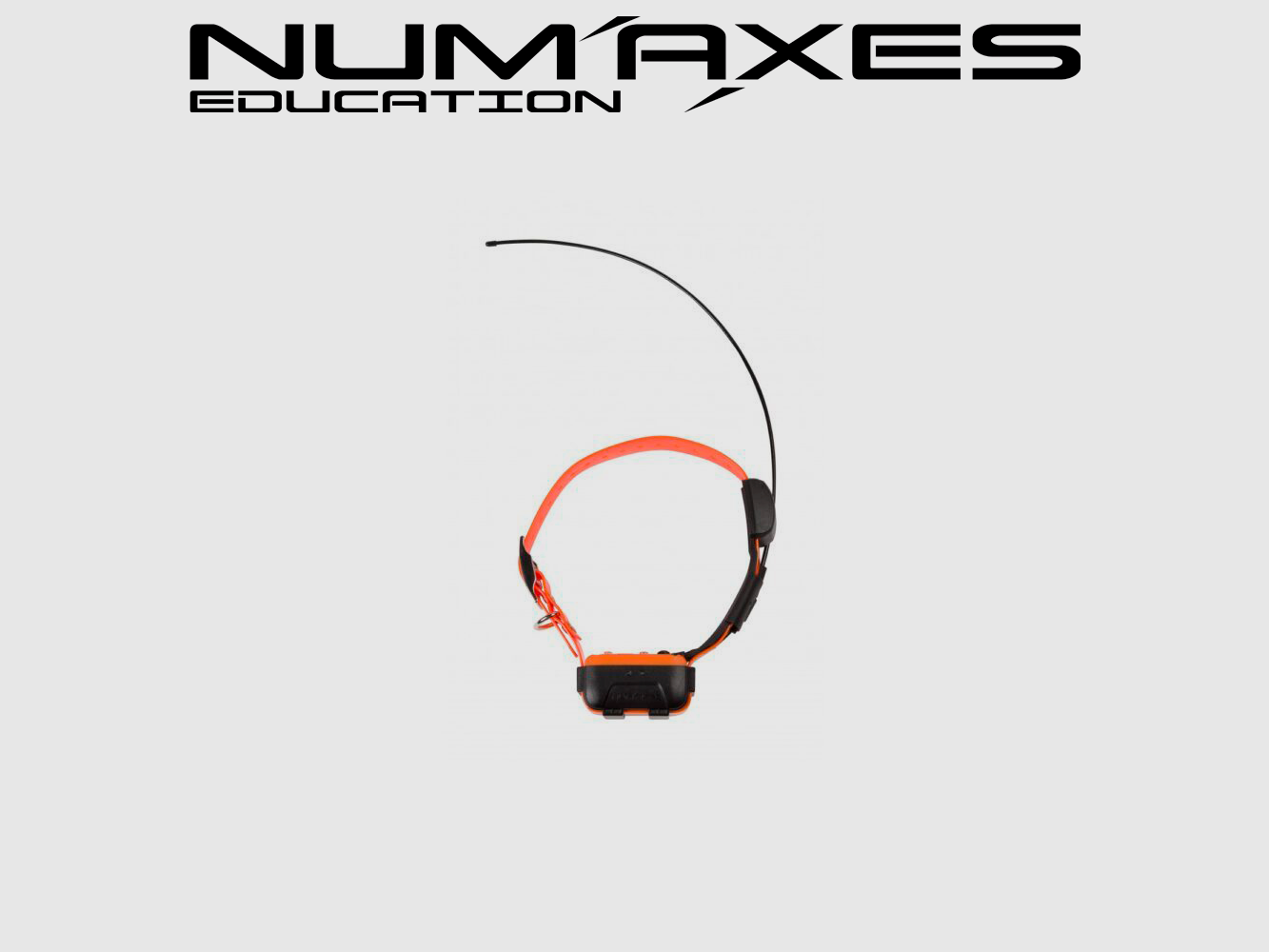 NUM’AXES EDUCATION COLLAR ADICIONAL CANICOM GPS, imagen 1 de 3