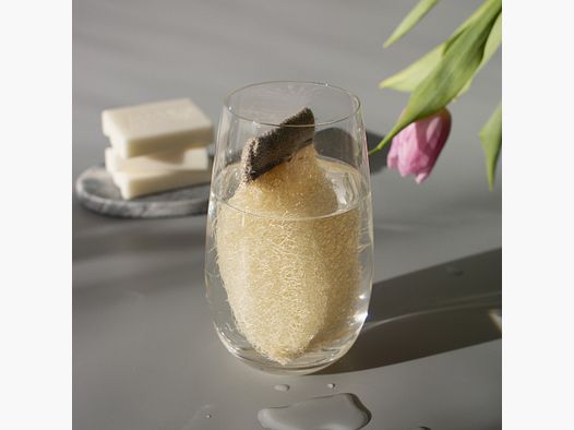 Clearo Spugna Luffa e Supporto per Detergenti Solidi