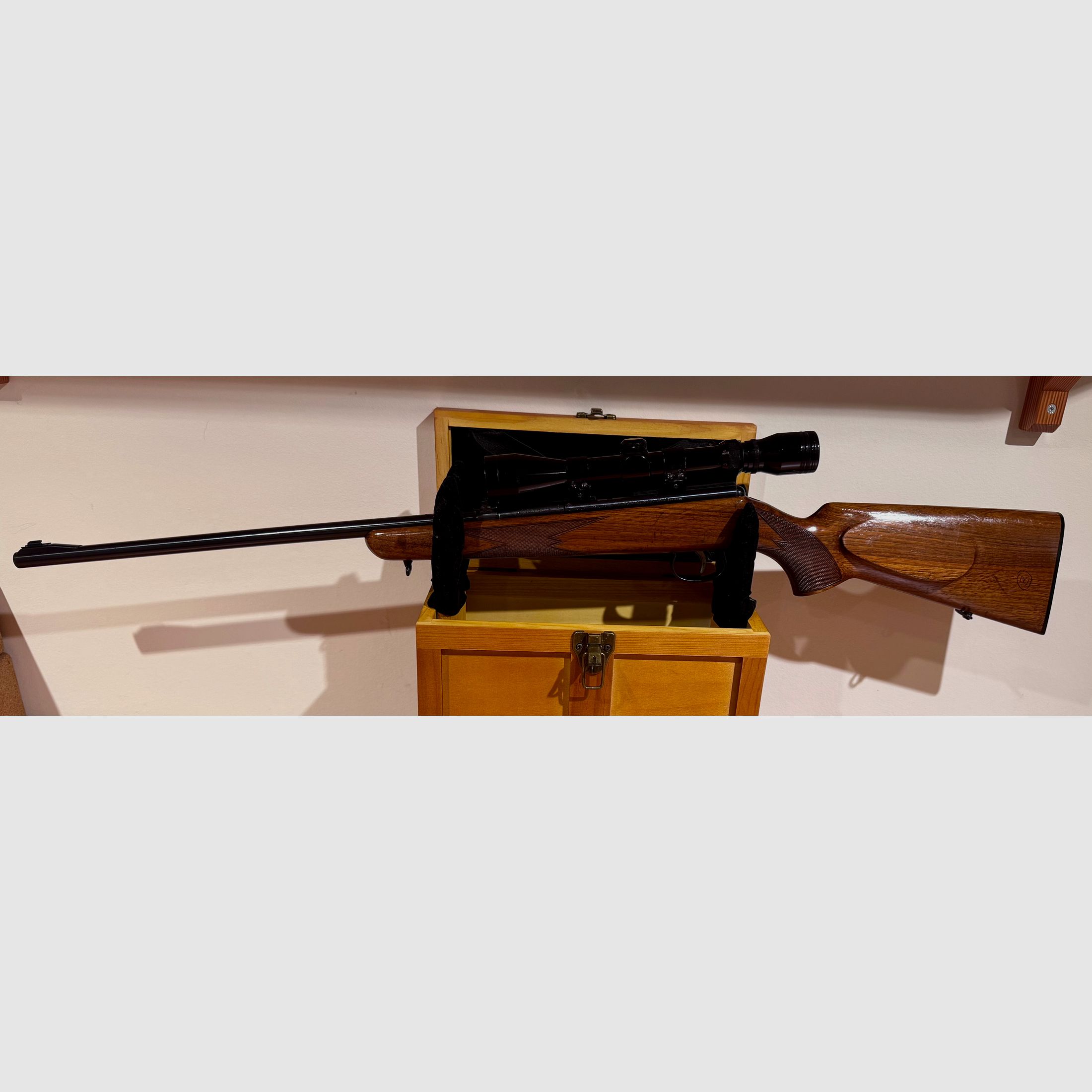 🎯 Präzises Kleinkaliber: Anschütz .22lr inkl. Bushmaster Zielfernrohr