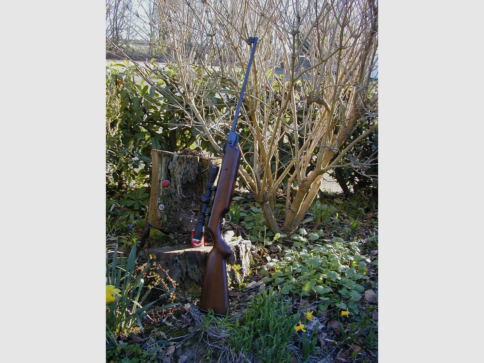 Luftgewehr Weihrauch HW35-Standard "stark und mit Zielfernrohr" (Top Zustand)