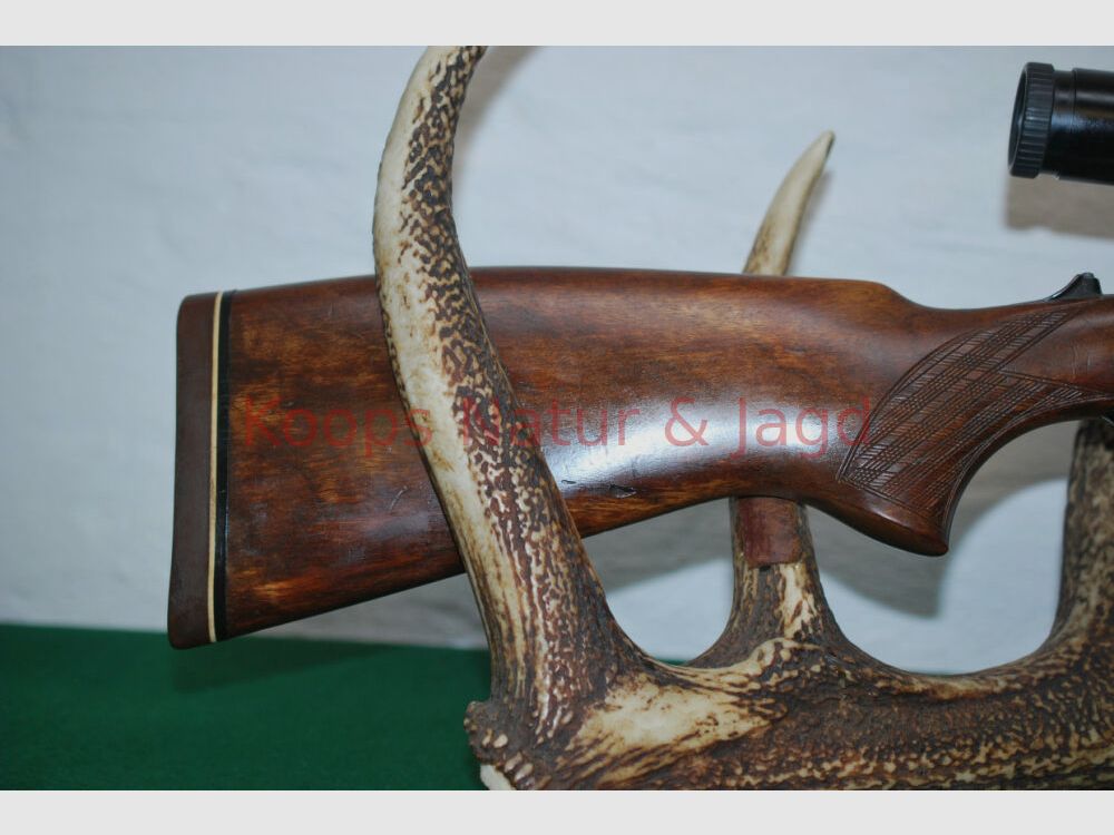 Blaser 700
