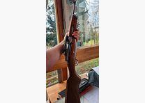 Ruger Mini 14 223 + munizioni