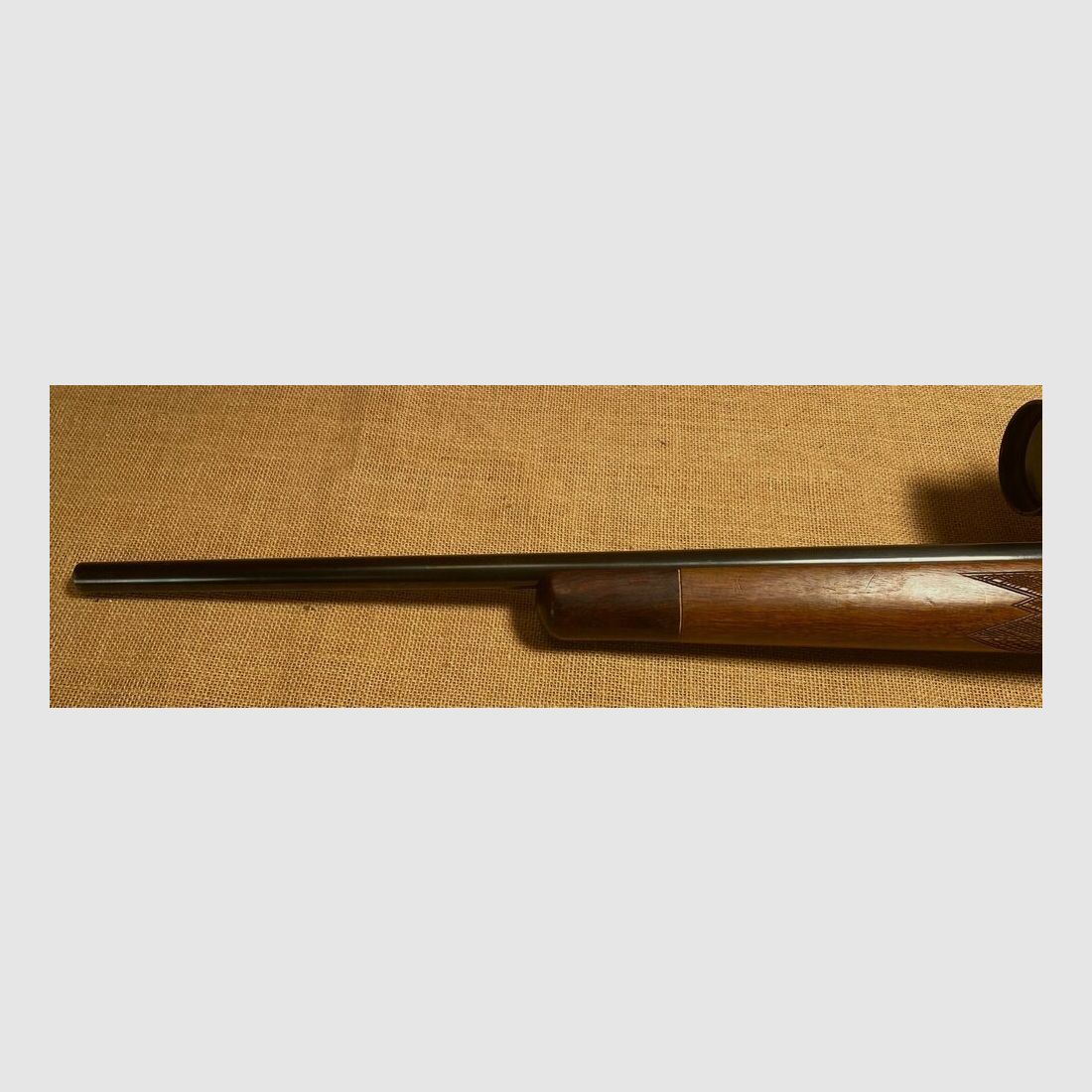 Krico 600 Match de Chasse