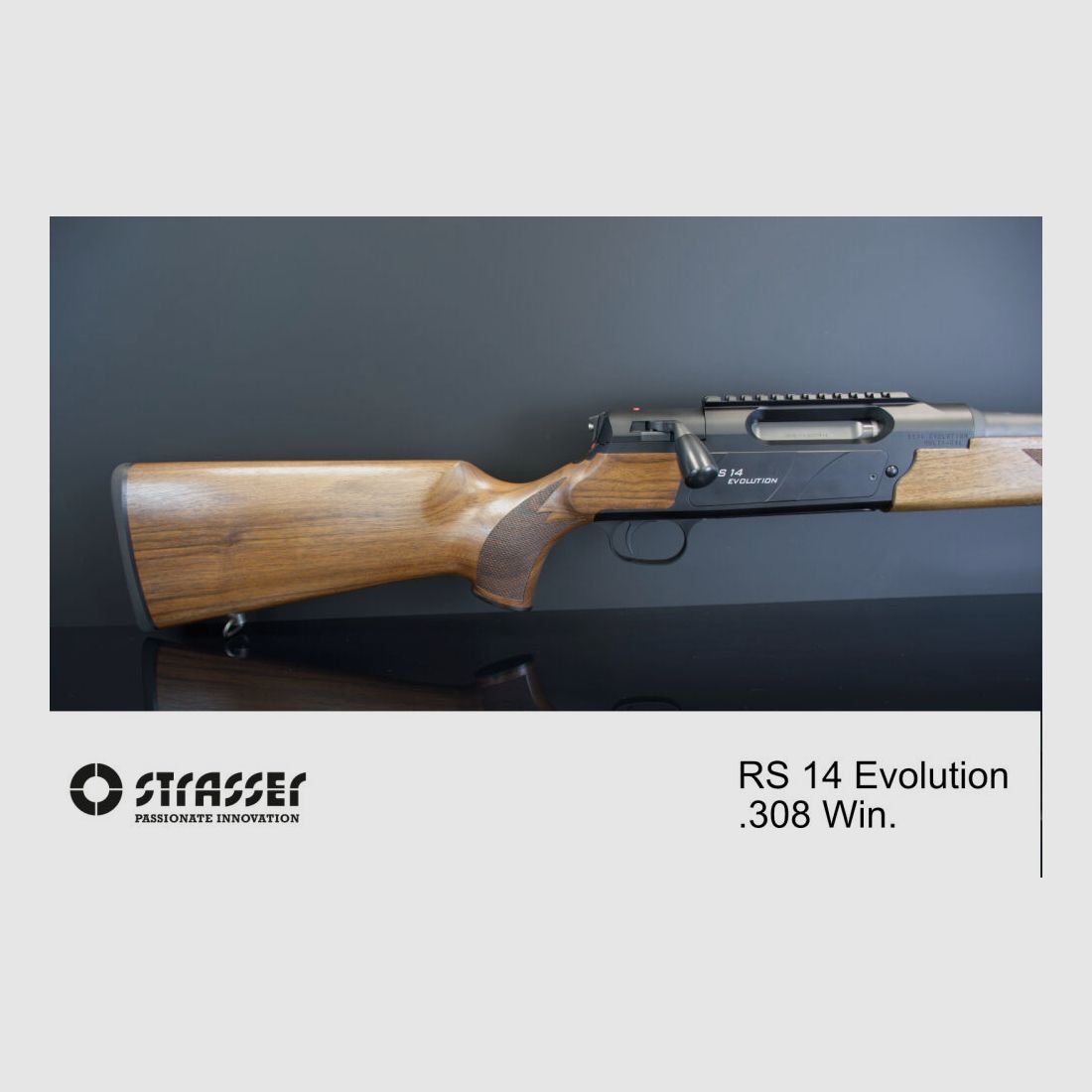 Strasser RS 14 Evolution