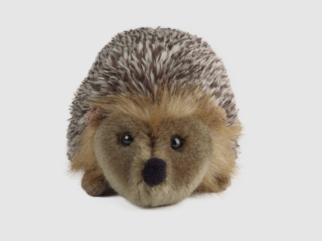 Pluchen egel, afbeelding 2 van 3
