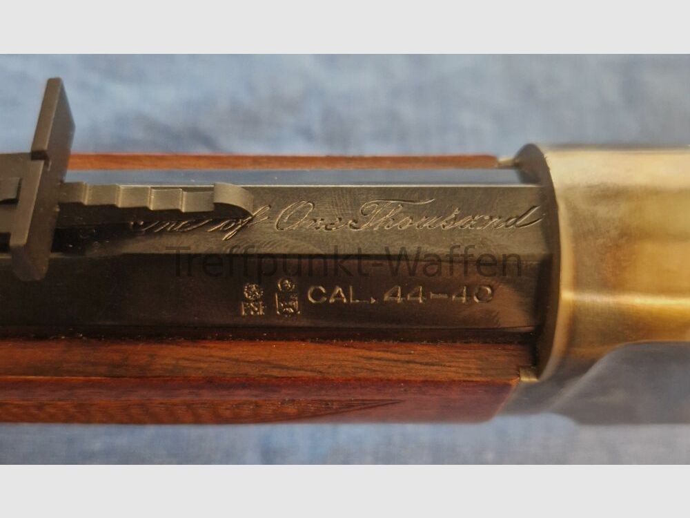 Hege-Uberti Mod. 1873 1of 1000