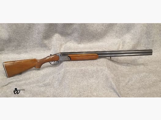 Pioneer Arms