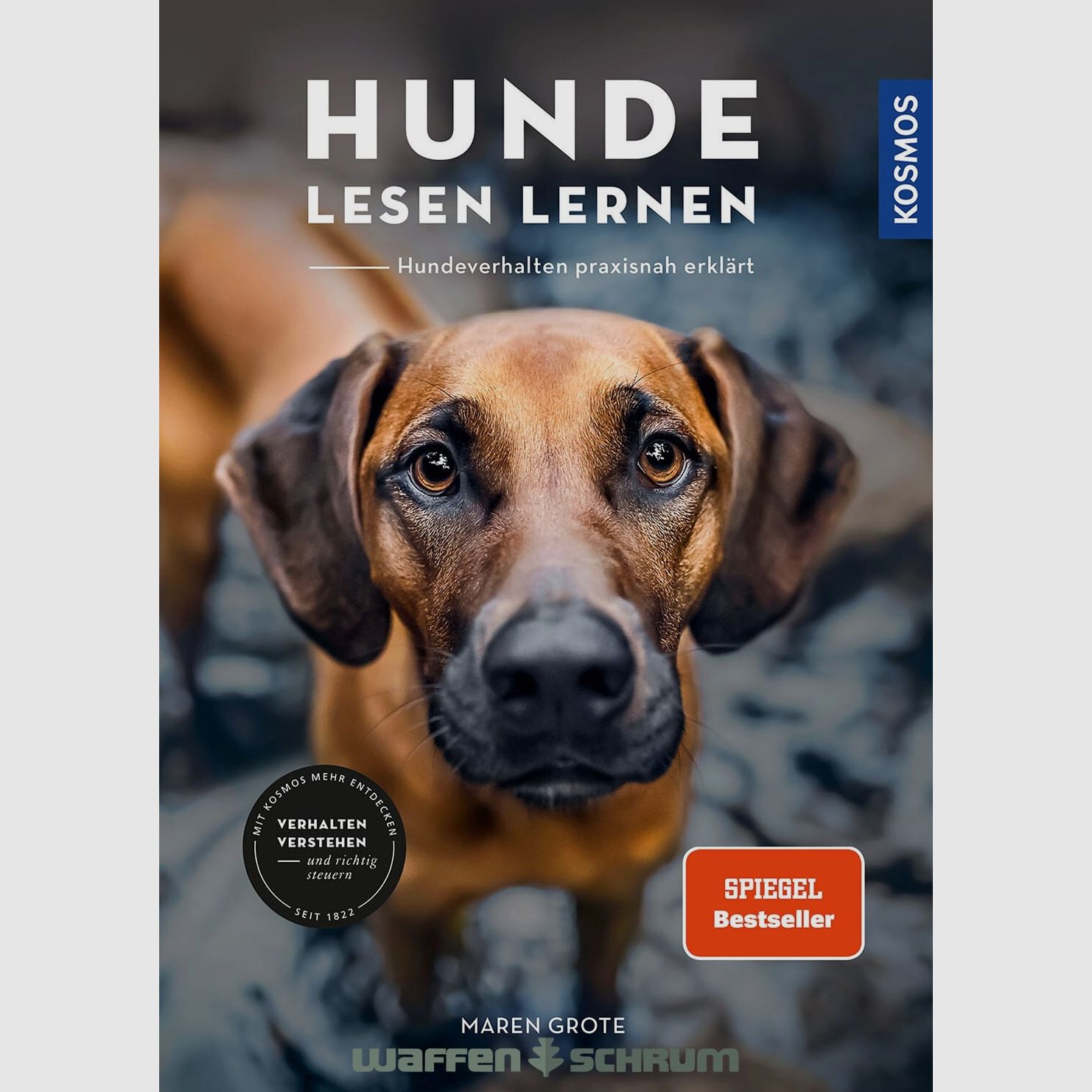 Cosmo cani imparano a leggere Grote