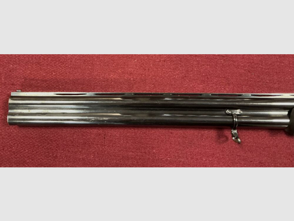 Rottweil Supreme
