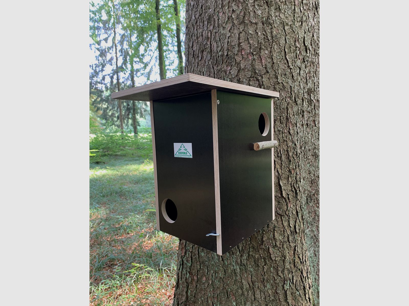 Eichhörnchenkobel