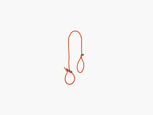2WOLFS FOREST slip lead for dogs