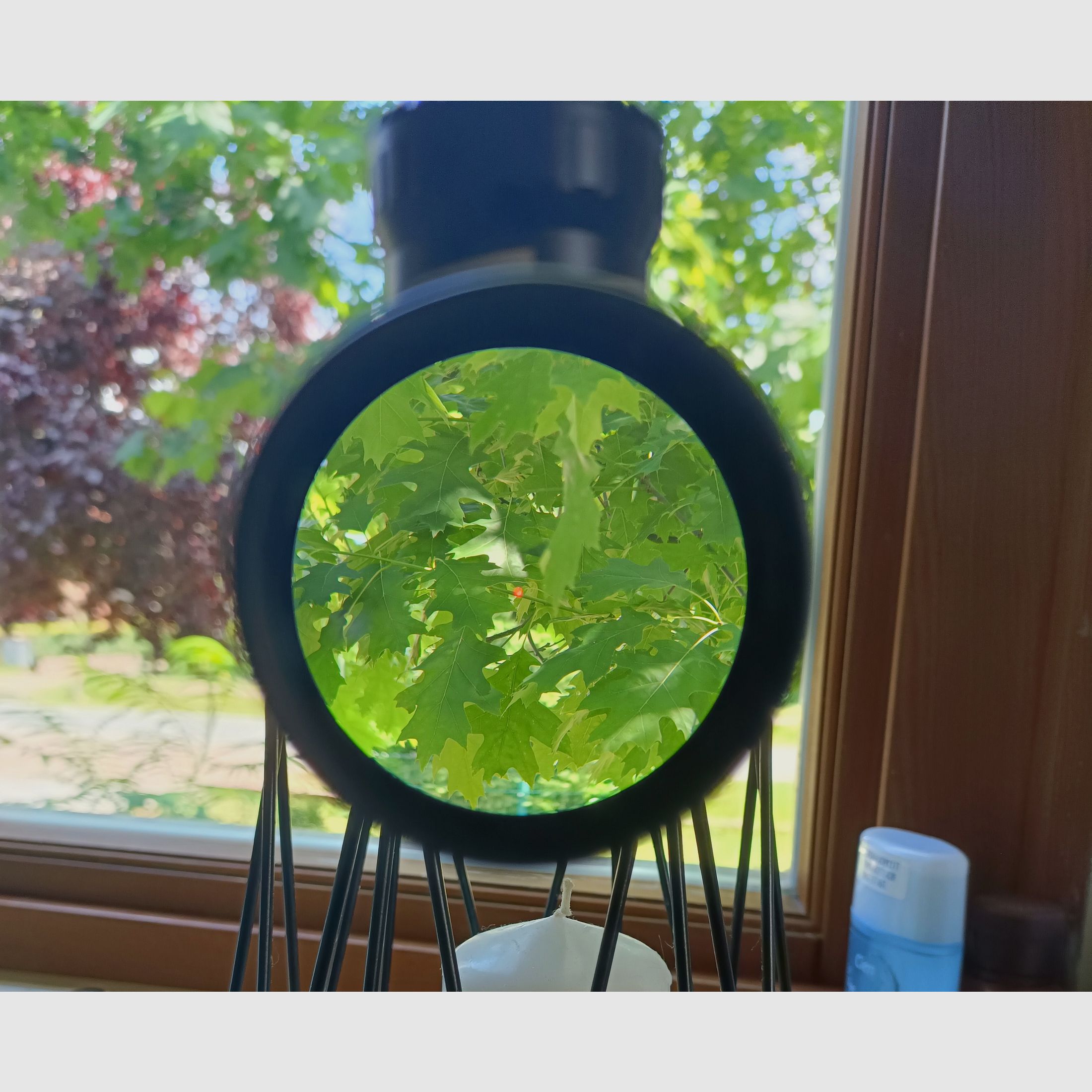 Zeiss Victory 1,5-6x42 Variopoint Rotpunkt, Absehen 0
