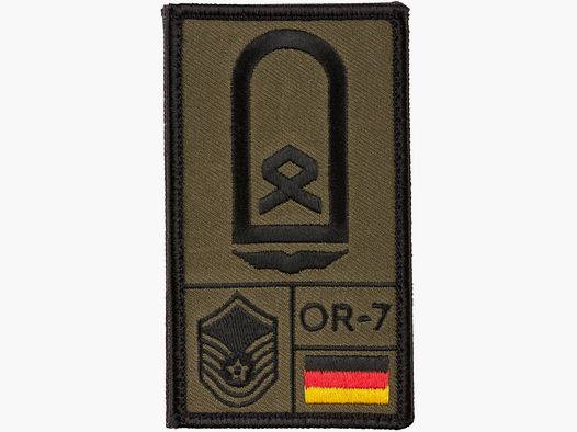 Café Viereck Café Viereck Rank Patch Hauptfeldwebel Luftwaffe oliv