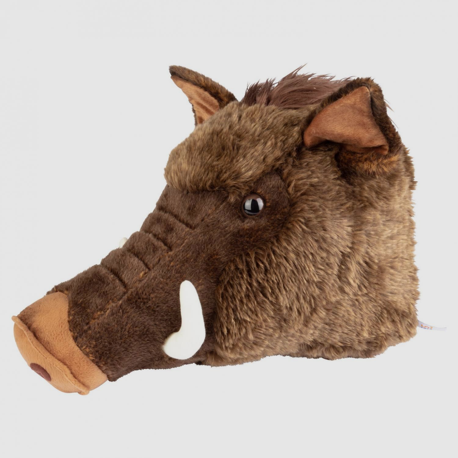 Keiler Trophäe