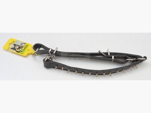 Stachelwürger Zweireihig Gr.45cm schwaz