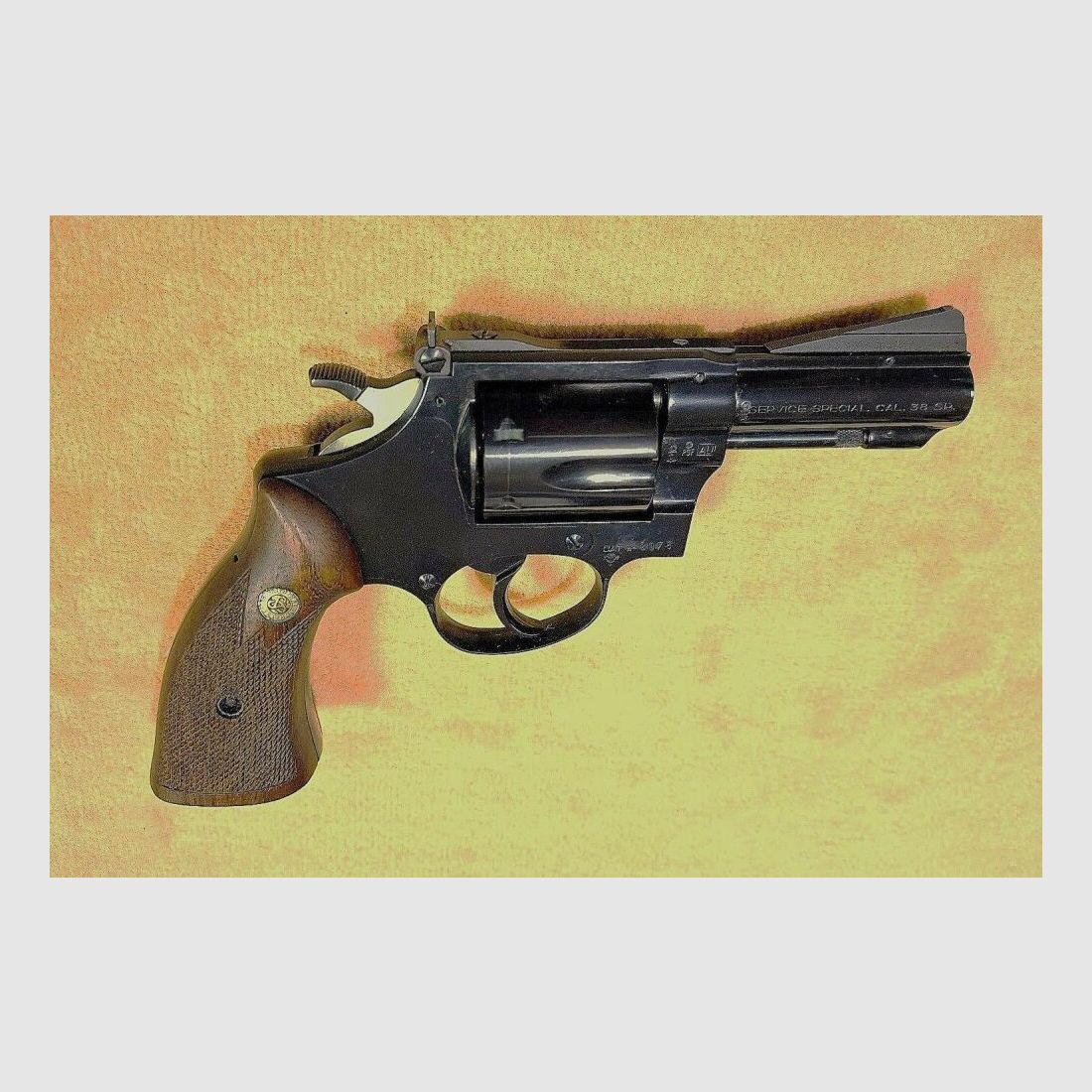 Service Euroarms Spezial Sauer .38Special