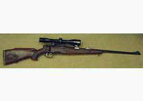 Steyr L