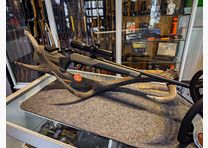 Blaser R8 2.0 paquete de fabricante con motosierra Stihl