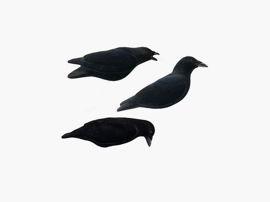 Flocked Magnum Crow Forms x3