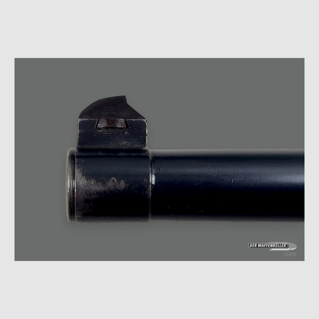 Fábrica de armas de Berna (W+F) 06/29 1929