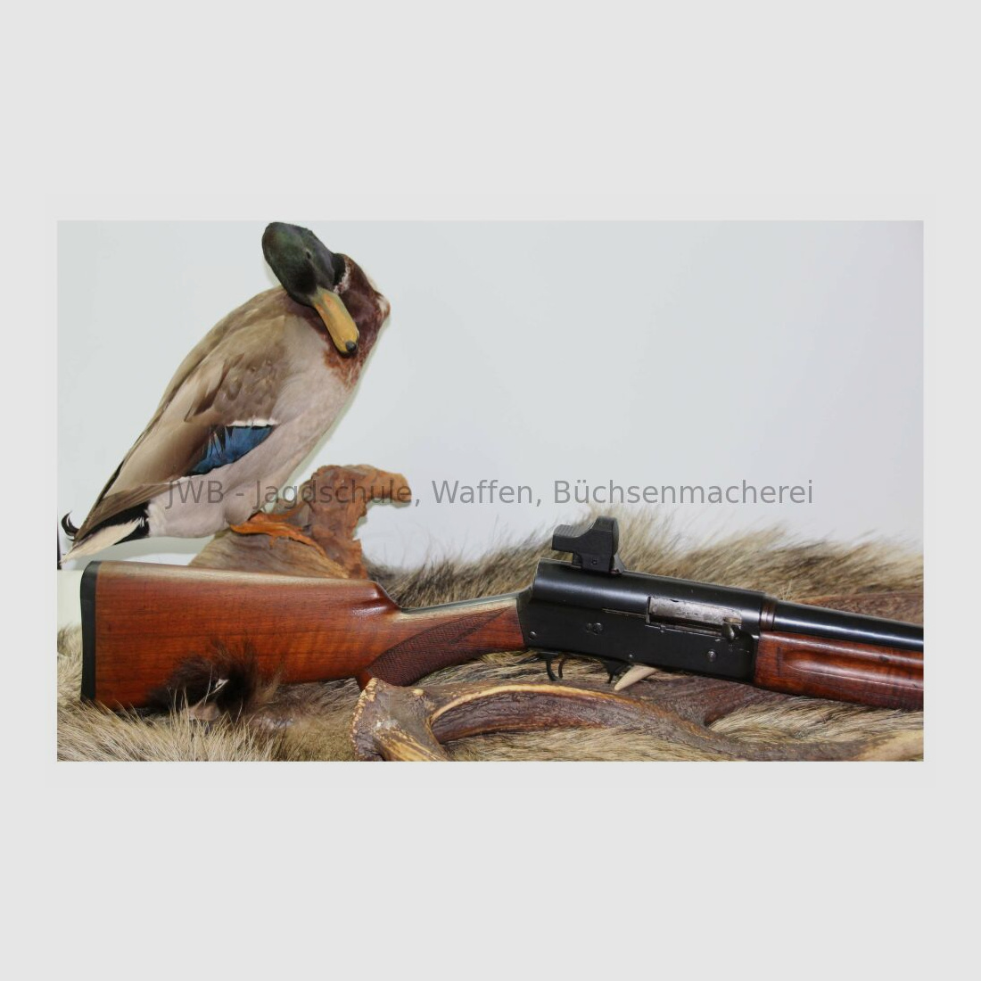 FN mit Docter Sight 16/65