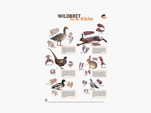 Wildbret-Poster Niederwild PVC
