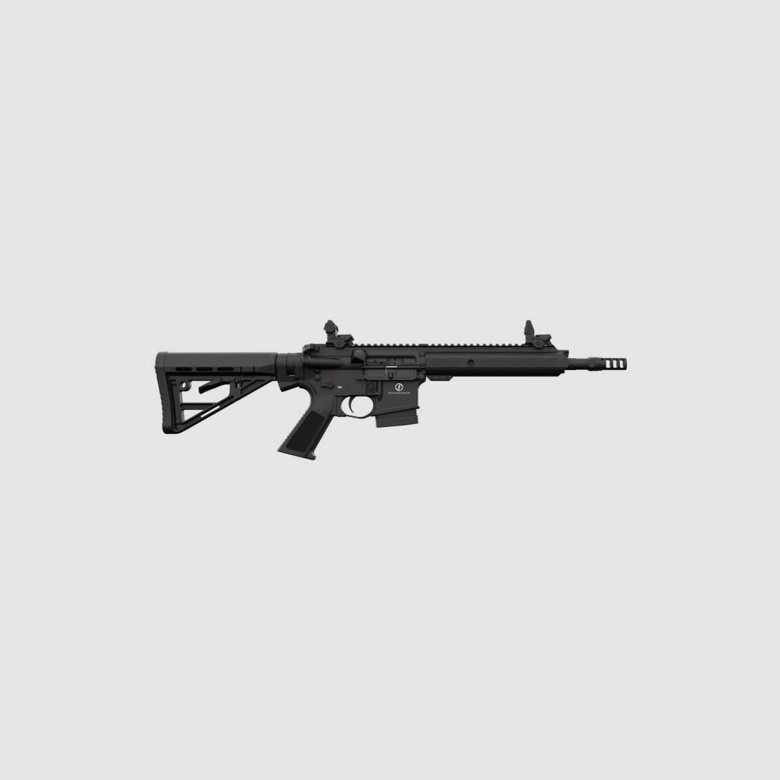 Schmeisser AR15 S4F Sport S, image 1 sur 2