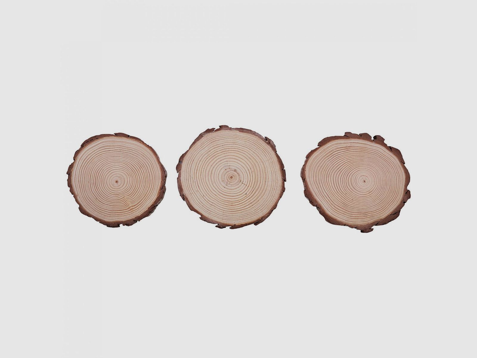 SET Trophäenbrettchen Kiefer Natur