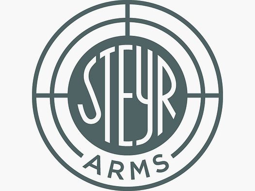 Steyr Modello SX