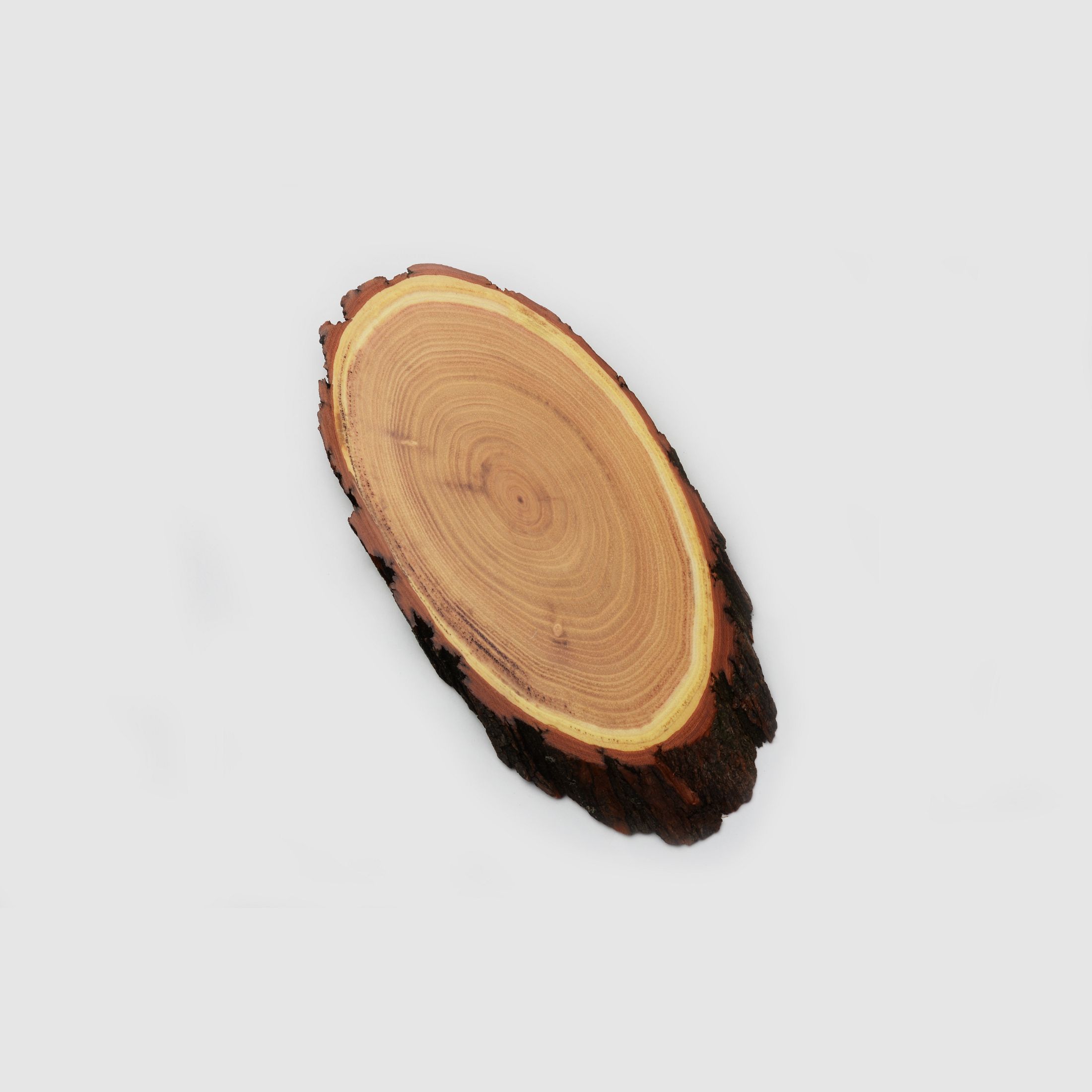 Acaciabord voor hert 20 x 45 cm