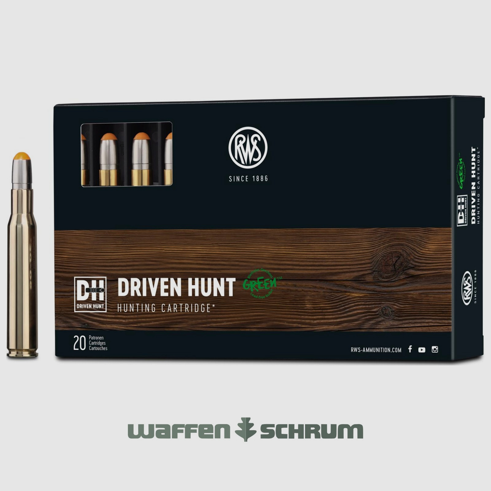 RWS Driven Hunt 10,7g - 165gr .30-06Spring