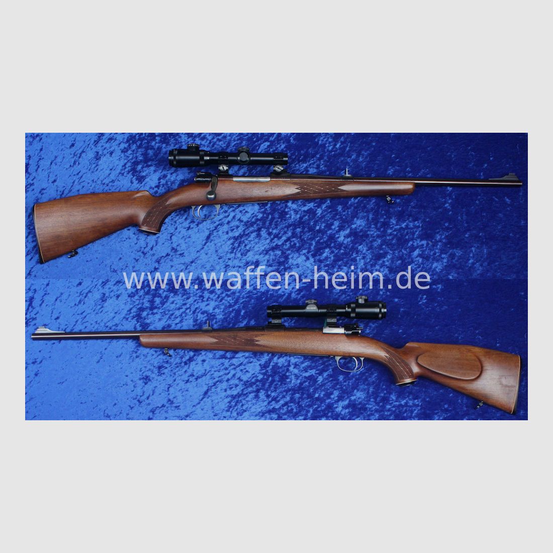 Jürgen Wolf Leonberg M 98