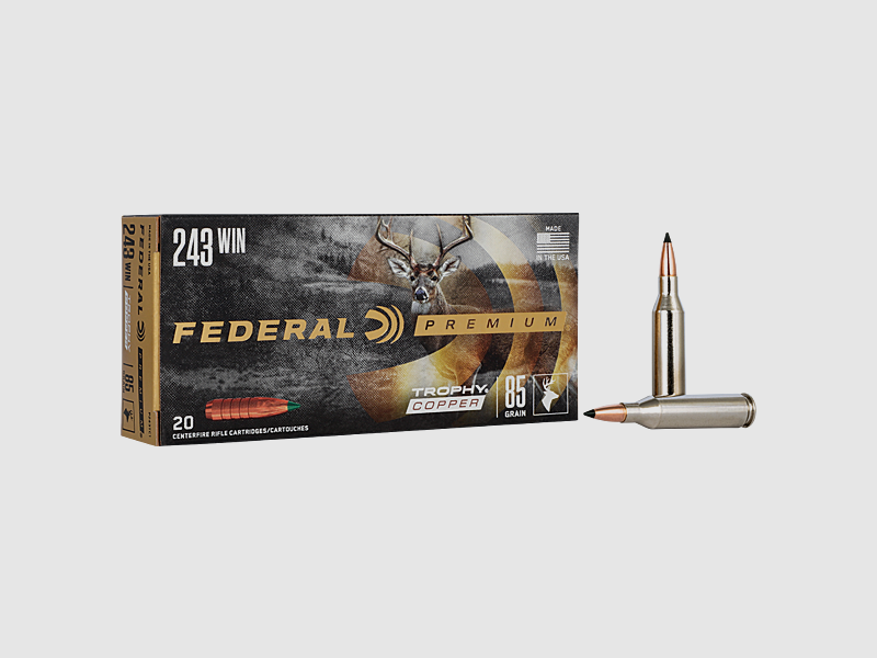 Patronen Federal Premium Geschoss Trophy Copper Kaliber 243 Win 85 Grain, Bild 1 von 8