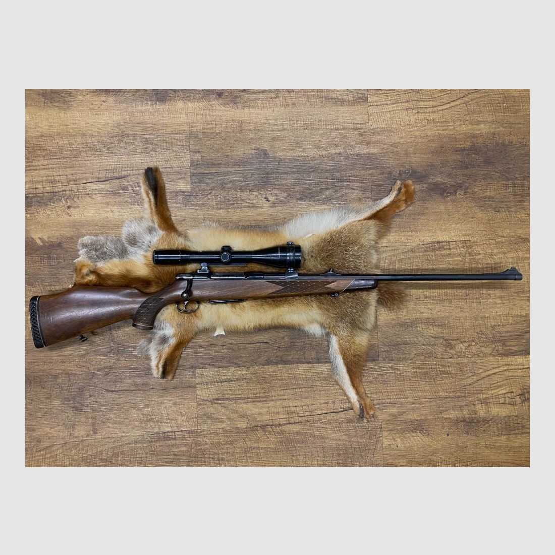 Sauer 80