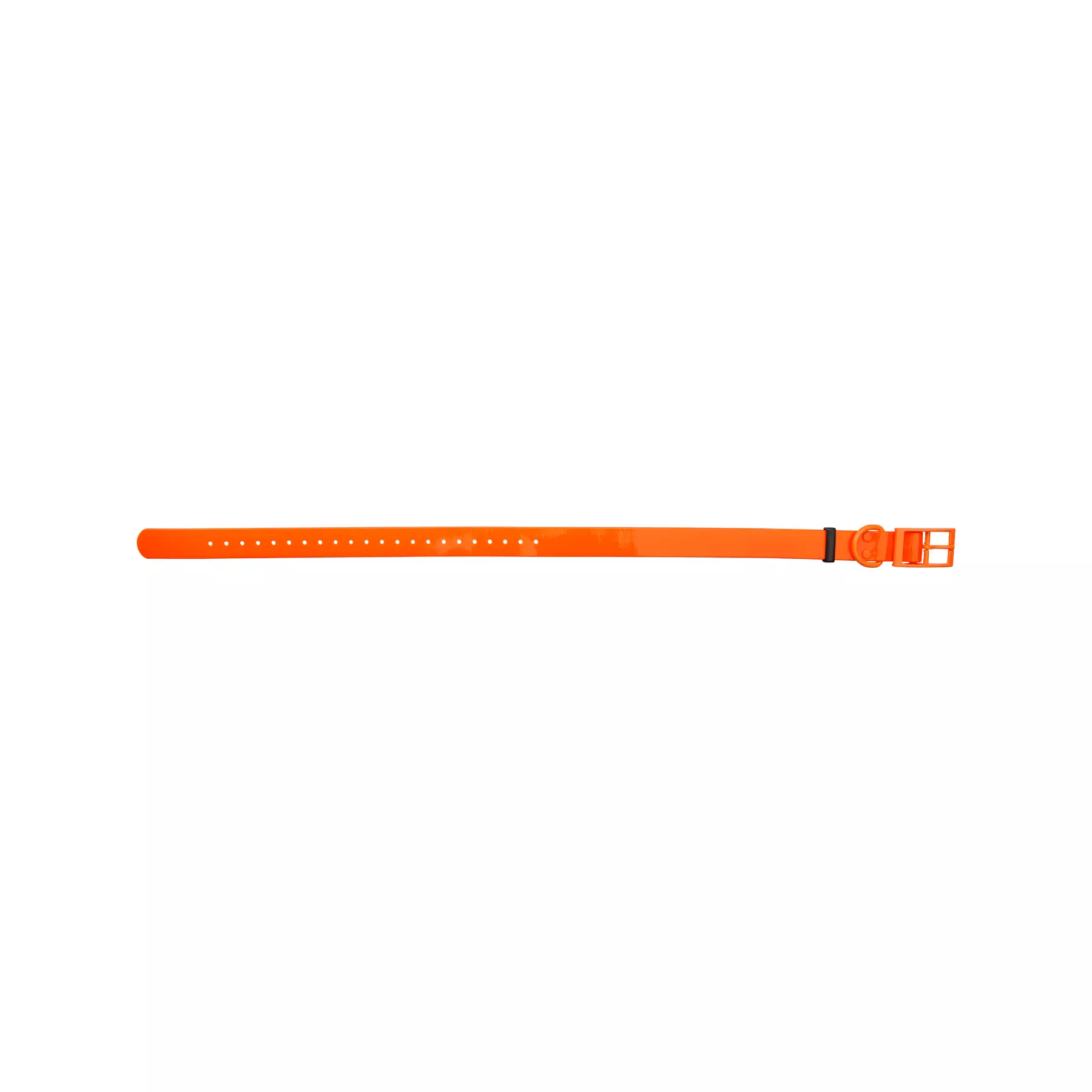 HP&G Collier pour chien 25mm Orange, image 1 sur 3